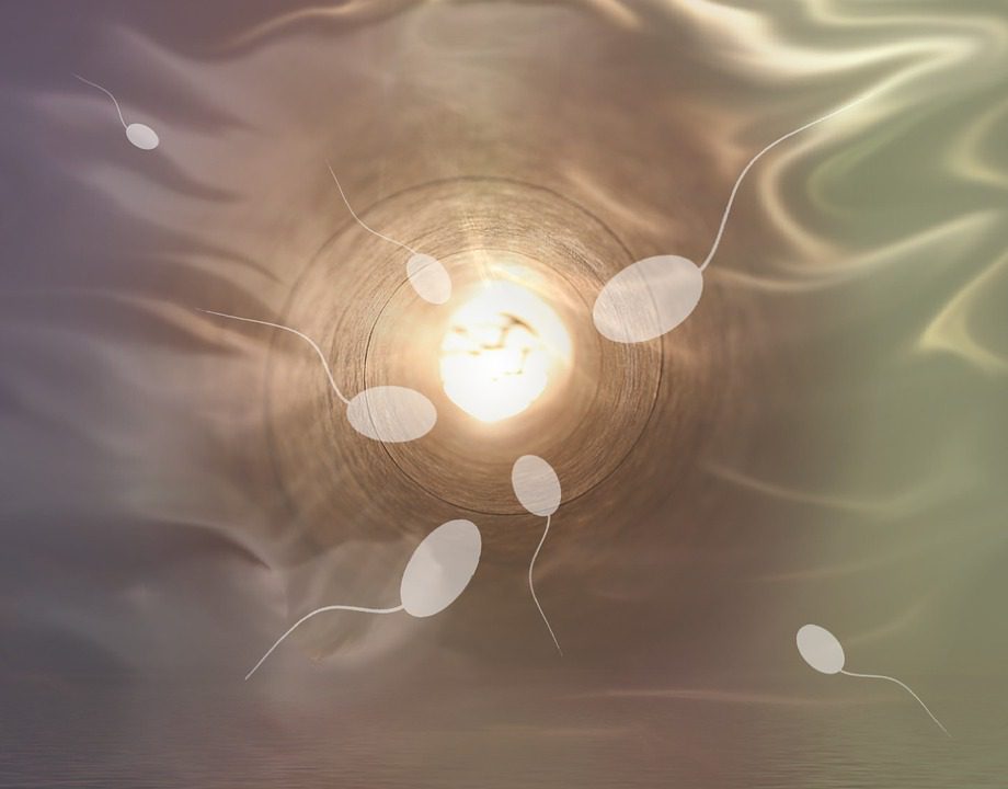 La qualité du sperme testé via un nouveau système connecté à un smartphone