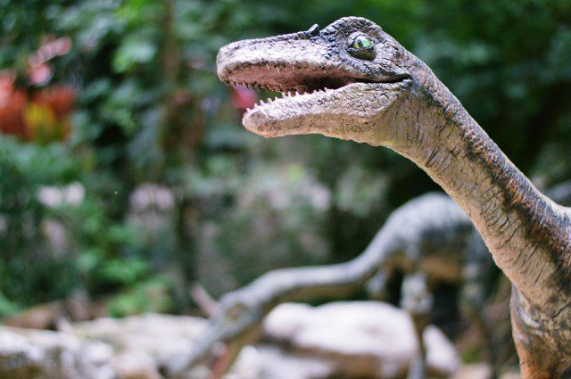 Dinosaure-640x425 L’univers high-tech n’est désormais plus étranger au secteur de la santé