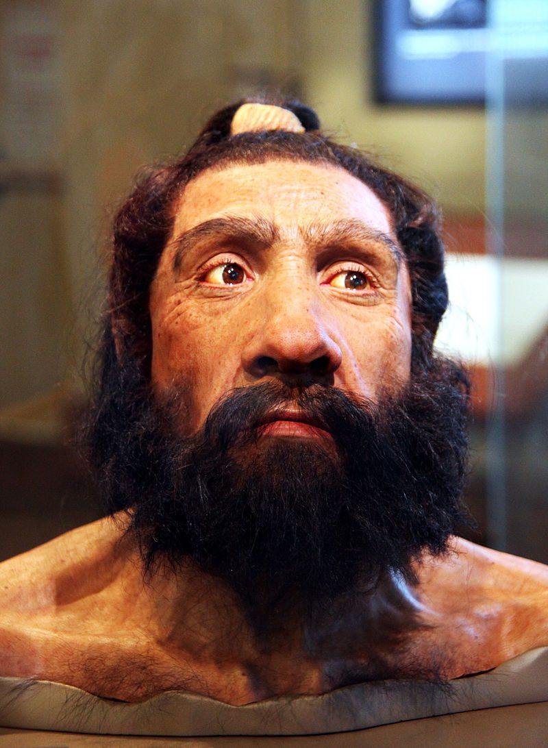 Homme de Néandertal : les allergies sont apparues à cause de lui