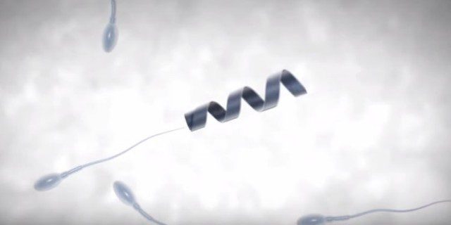 Le-Spermbot-640x320 Médicaments non utilisés : palmarès des régions adeptes du recyclage