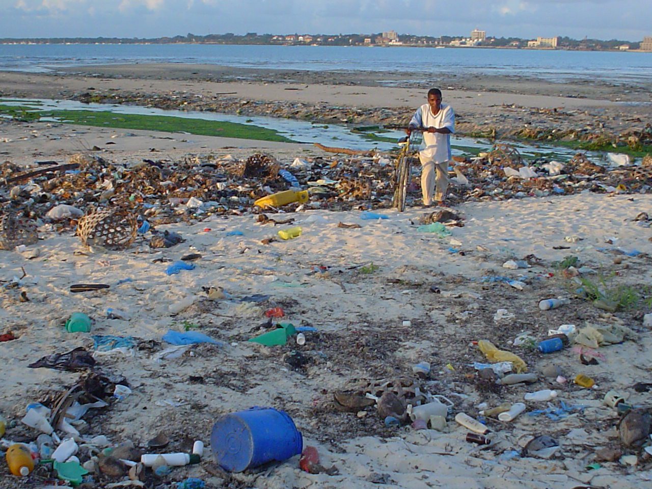 Les plastiques redonnés par les océans