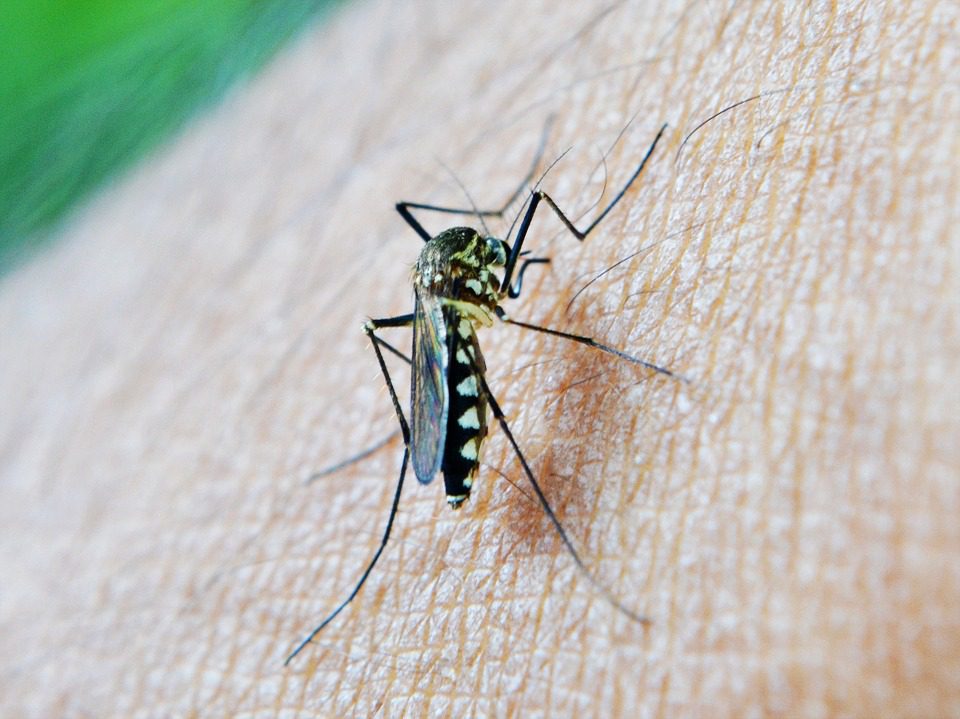 Le virus Zika favorise également la myélite aiguë, un trouble moteur