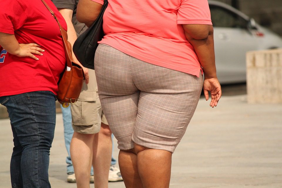 L’obésité, un problème de santé mondial, 13% de la population mondiale est atteinte