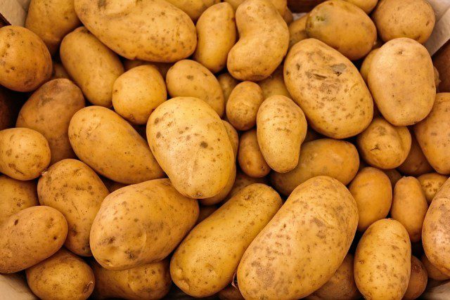 Pomme-de-terre-640x427 « Un appel au boycott sans fondement : éclaircissements sur la polémique entre l'équipe israélienne et Reebok »