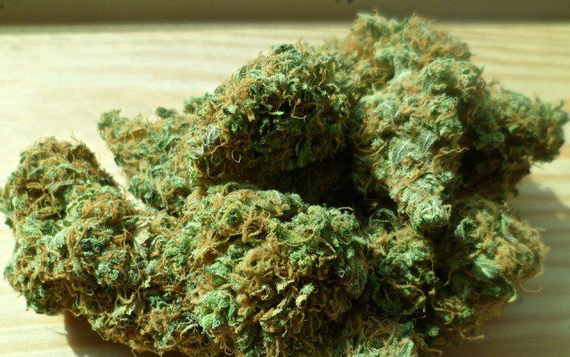 Cannabis-640x401 EN DIRECT - Conflit à Gaza : Trump évoque des pourparlers potentiels pour la libération des otages qui pourraient s'étendre sur plusieurs jours.