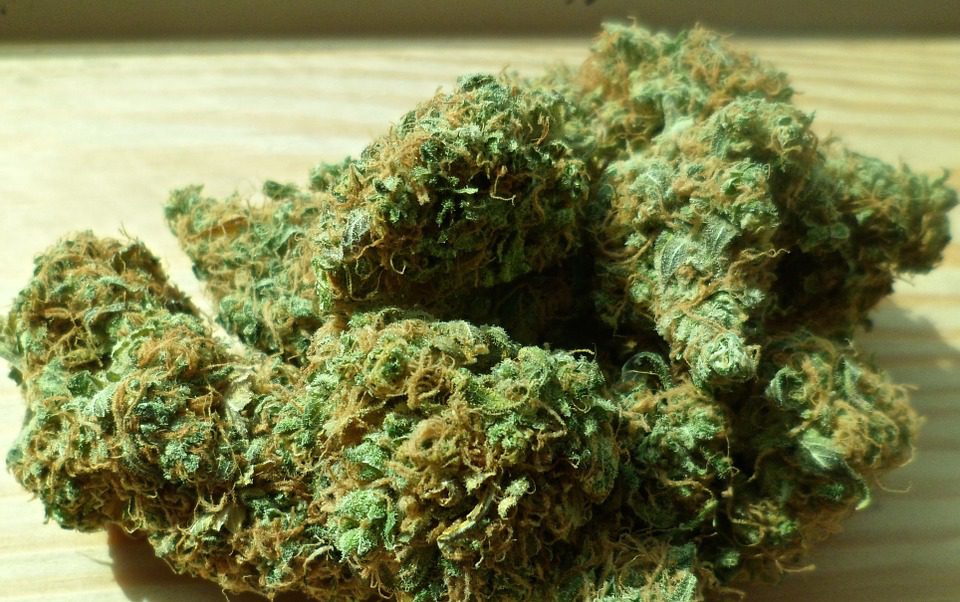 Cannabis : les propos de Bertrand Dautzenberg sur la dépénalisation ne font pas l’unanimité