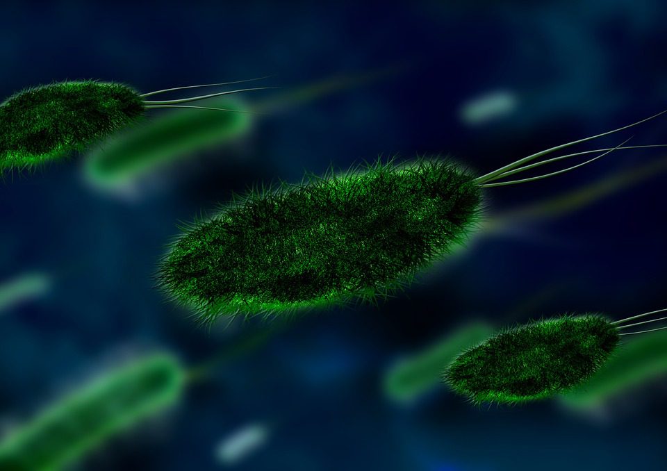 Bactéries : leur résistance est inquiétante