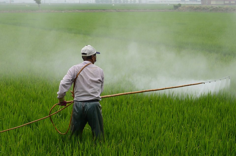 Cash Investigation : des pesticides potentiellement dangereux très voire trop employés en France