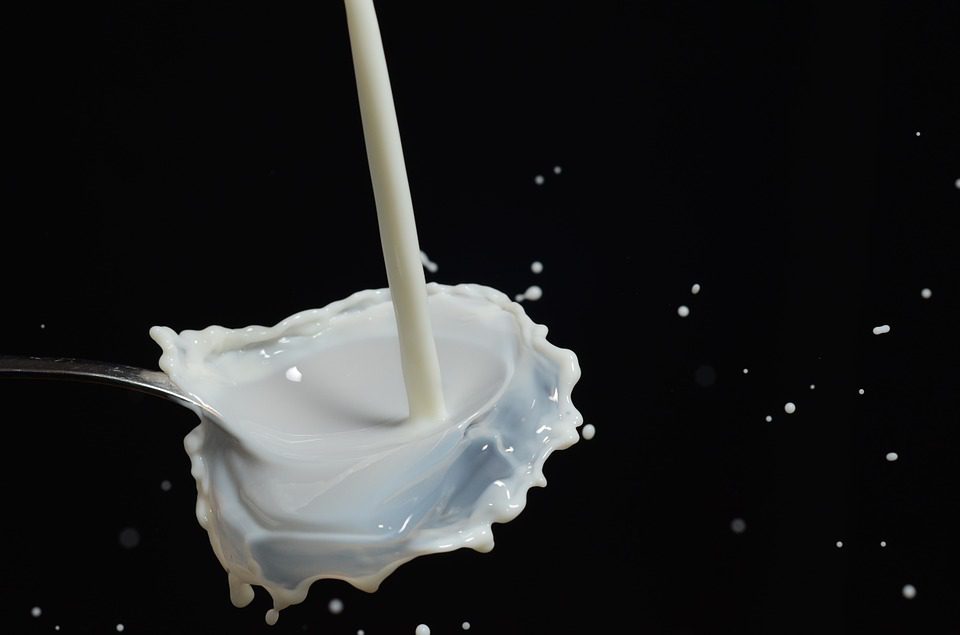 Les produits laitiers jouent-ils un rôle important dans la nutrition ?