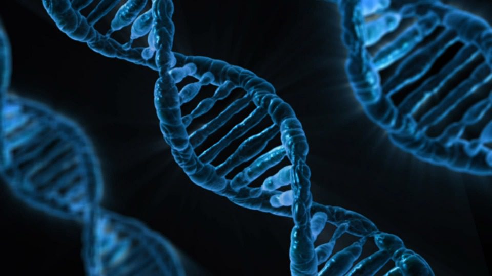 CRISPR-Cas9 : découper l’ADN demande une prudence