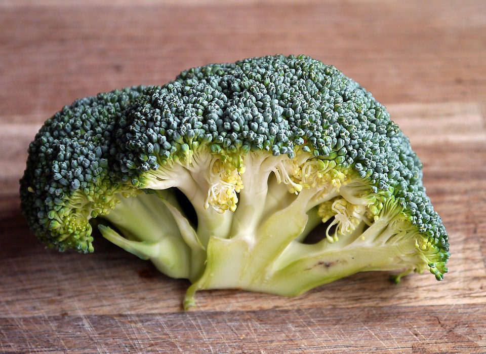 Le brocoli, un aliment santé reconnu contre les cancers