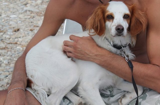 Le-chien-naime-pas-les-câlins-640x419 Aucune nouvelle information récente (≤ 6000 min) - recherches Google News concernant Cardi B