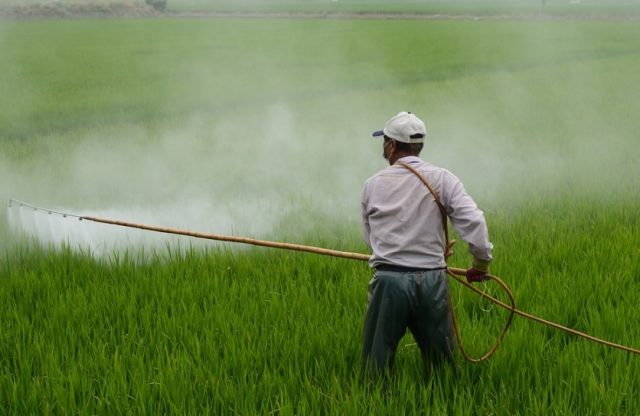 Herbicide-640x416 Pétrole : le Venezuela exploite seulement un tiers de sa capacité réelle - NLTO