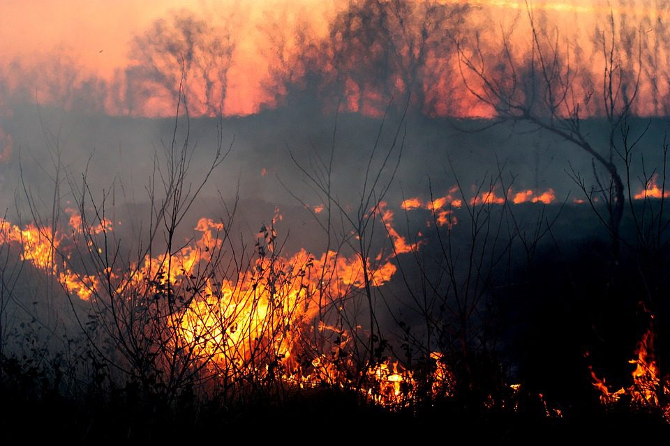 Nouvel incendie gigantesque en Californie : 13 000 hectares ravagés et 1 500 personnes évacuées
