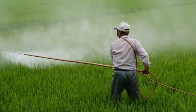 Pesticides-640x366 La Justice prend la parole : « Menacer les juges, c'est attaquer l'Etat de droit » suite à la condamnation de Sarkozy