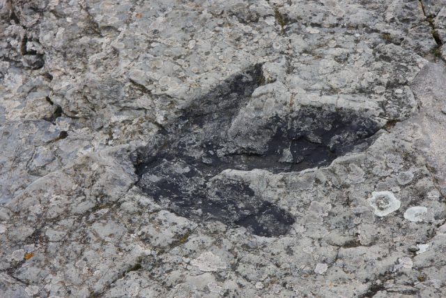 Empreinte-de-dinosaure-640x427 Hauts-de-Seine : suspicion de proxénétisme avec des filles recrutées sur internet