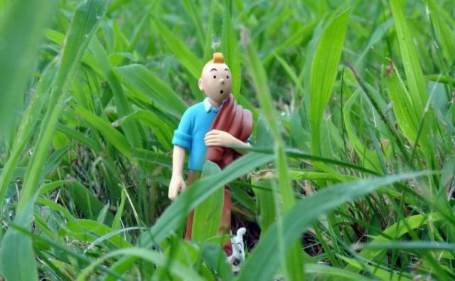 Tintin-640x395 Un voyage à travers les mystères de l'amour et de l'attachement