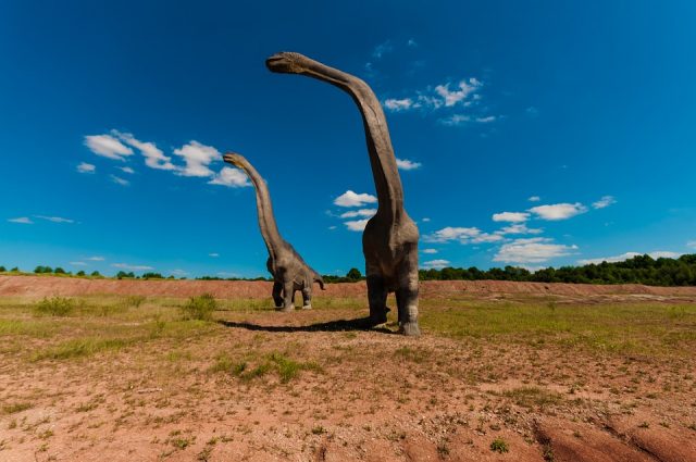 Dinosaure-640x425 Facebook : la publicité vidéo en plein écran débarque sur votre compte