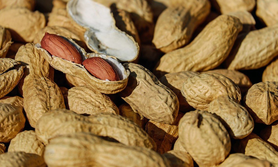 Exposer à l’arachide le plus tôt possible, cela préviendrait des risques d’allergie