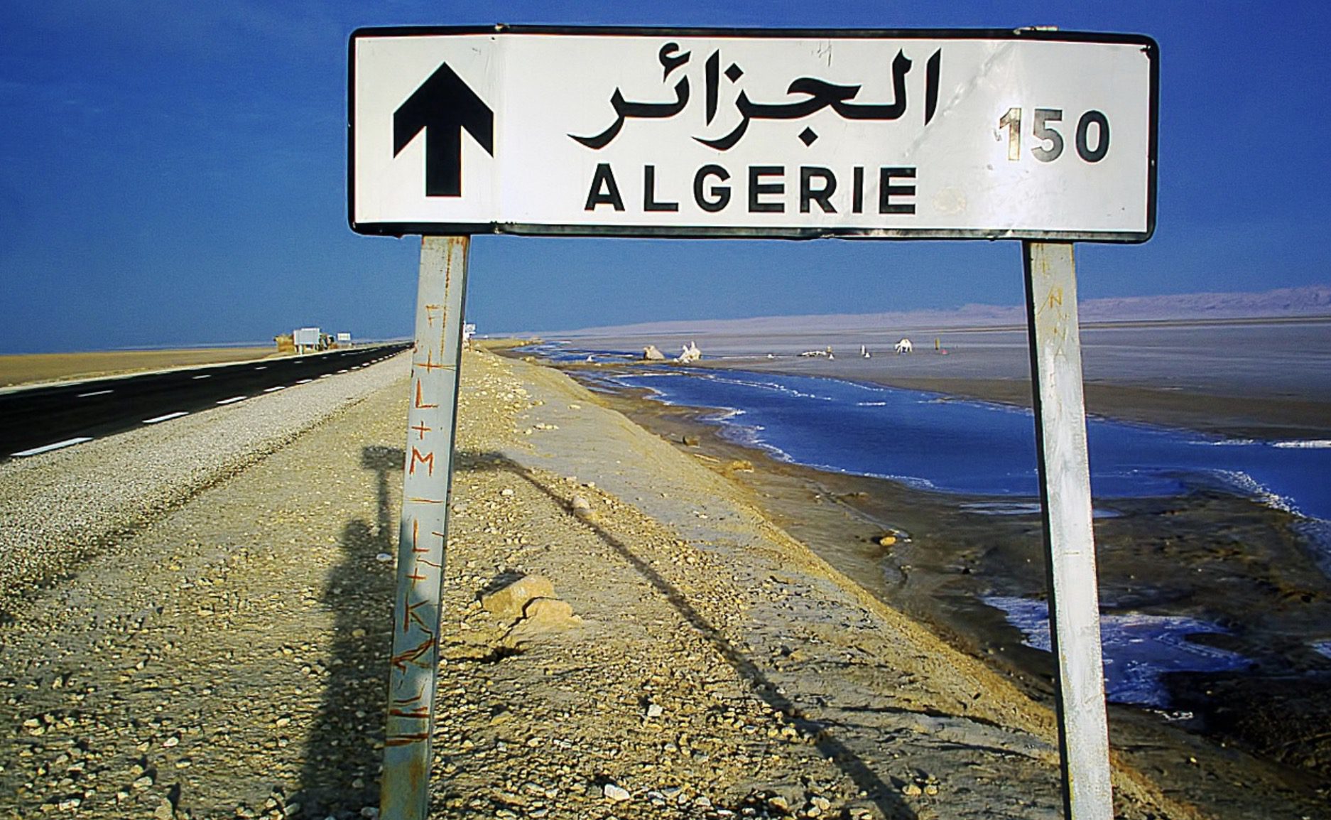 L’Algérie sera sans Bouteflika, une démission tant attendue