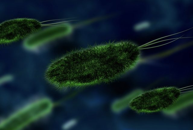 Germe-640x431 Les effets du CBD sur l'inflammation : Un aperçu détaillé