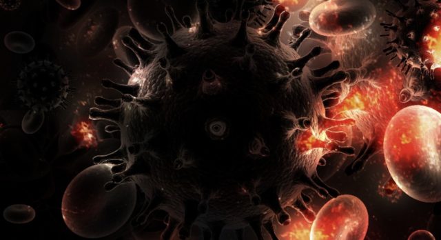 Sida-640x348 Le marché du CBD pour animaux : un secteur en pleine expansion