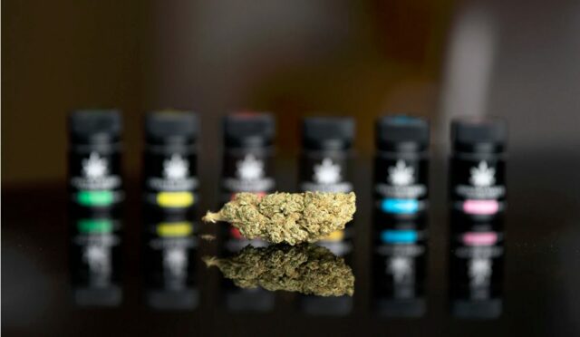 comment-consommer-du-cbd-de-facon-efficace-640x372 L’automédication française se porte extrêmement bien surtout grâce à la grippe
