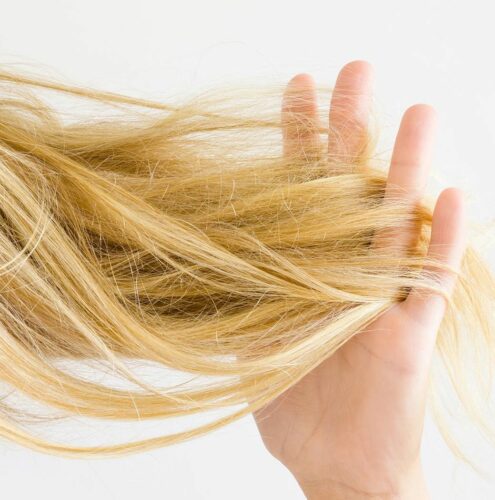 comment-reparer-des-cheveux-tres-fragilises-495x500 Comment identifier l'odeur du poulet périmé sans risque ?