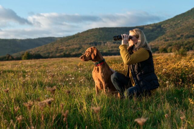 quelles-sont-les-meilleures-regions-de-france-pour-la-chasse-640x427 Budget vacances d'été : une stabilité pour 2015