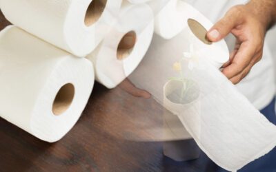 Papiers toilettes biodégradables : 3 solutions devraient vous plaire