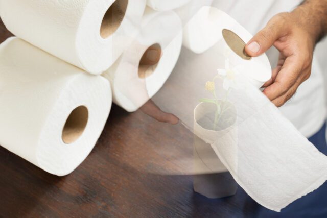 papier-toilette-biodegradable-640x427 3 idées de plante pour bien décorer sa maison
