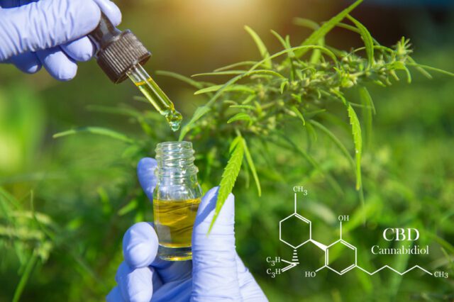 b8a12bcb727bf1b5561585b9a961f3e9-640x426 Le chirurgien capillaire spécialiste de la greffe : que faut-il savoir de ce professionnel médical ?