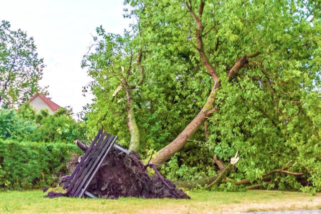vent-violent-640x427 EN DIRECT - Ouragan Melissa frappe la Jamaïque : 'Coupure de courant depuis près de 8 heures