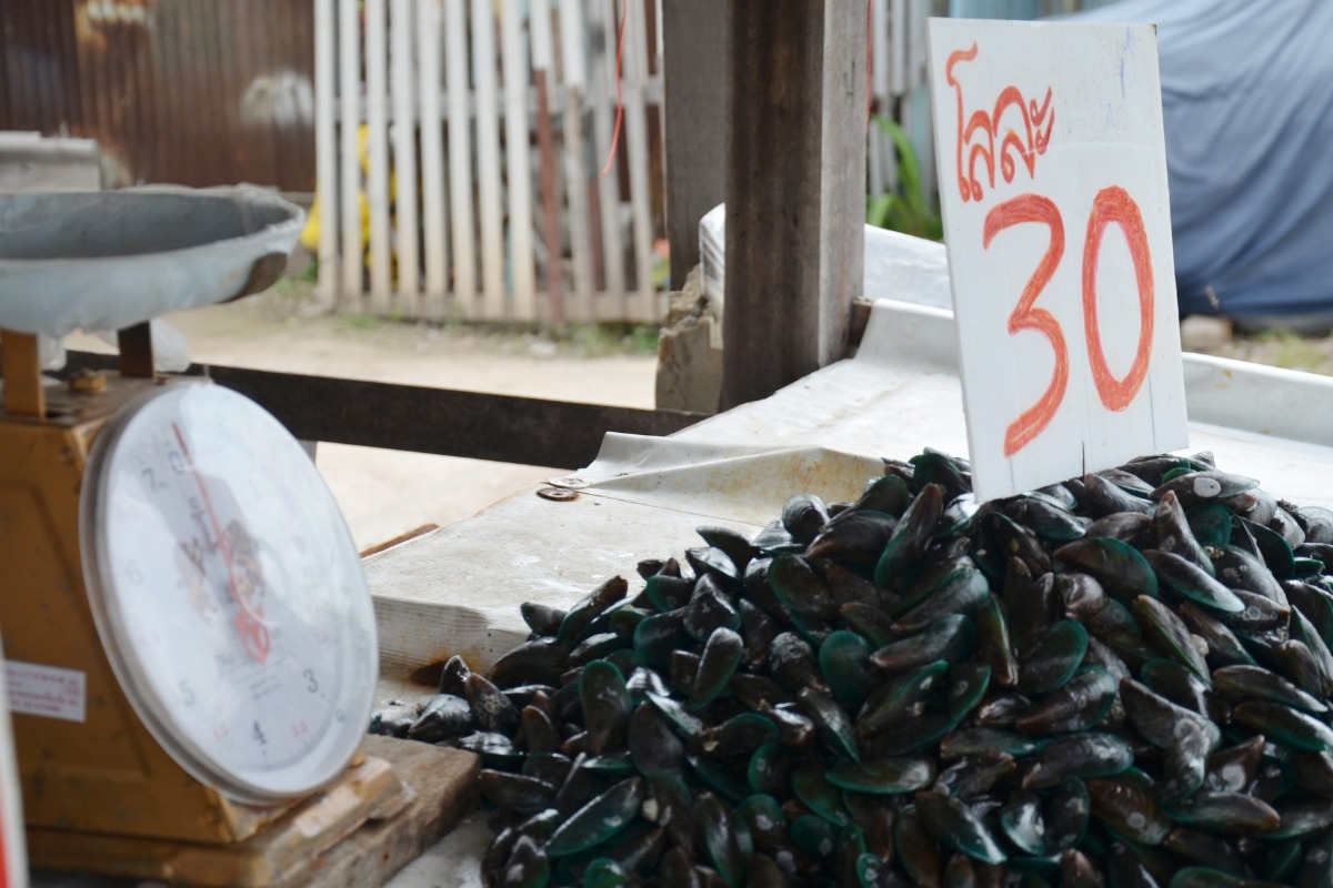 1 kg de moules en litre