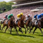 suivez le quinté+ prix de marly à longchamp le 26/04/2026 : découvrez la liste des partants, les pronostics détaillés et revivez la course 3 en vidéo exclusive sur equidia.