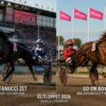 suivez en direct l'elitlopp 2026 avec la victoire impressionnante de don fanucci zet dans la première course et la performance éclatante de go on boy lors de la deuxième sur equidia.