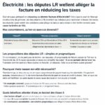 les députés lr demandent une baisse des taxes sur l'électricité afin de réduire les factures des ménages et soulager le pouvoir d'achat.