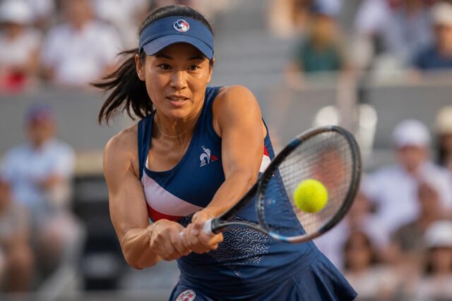 Harmony-Tan-de-ses-racines-a-son-exploit-retentissant-contre-Serena-Williams-decouvrez-qui-est-cette-talentueuse-Francaise-640x427 La taxe « fermette » : un revirement éclair dans l'histoire politique flamande
