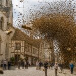 un essaim spectaculaire de 30 000 abeilles envahit le centre-ville de sens dans l'yonne, provoquant étonnement et vigilance parmi les habitants.
