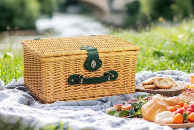 panier-picnic-640x429 Nagui, l'animateur engagé : son amour inconditionnel pour un plat et son virage vers le végétarisme