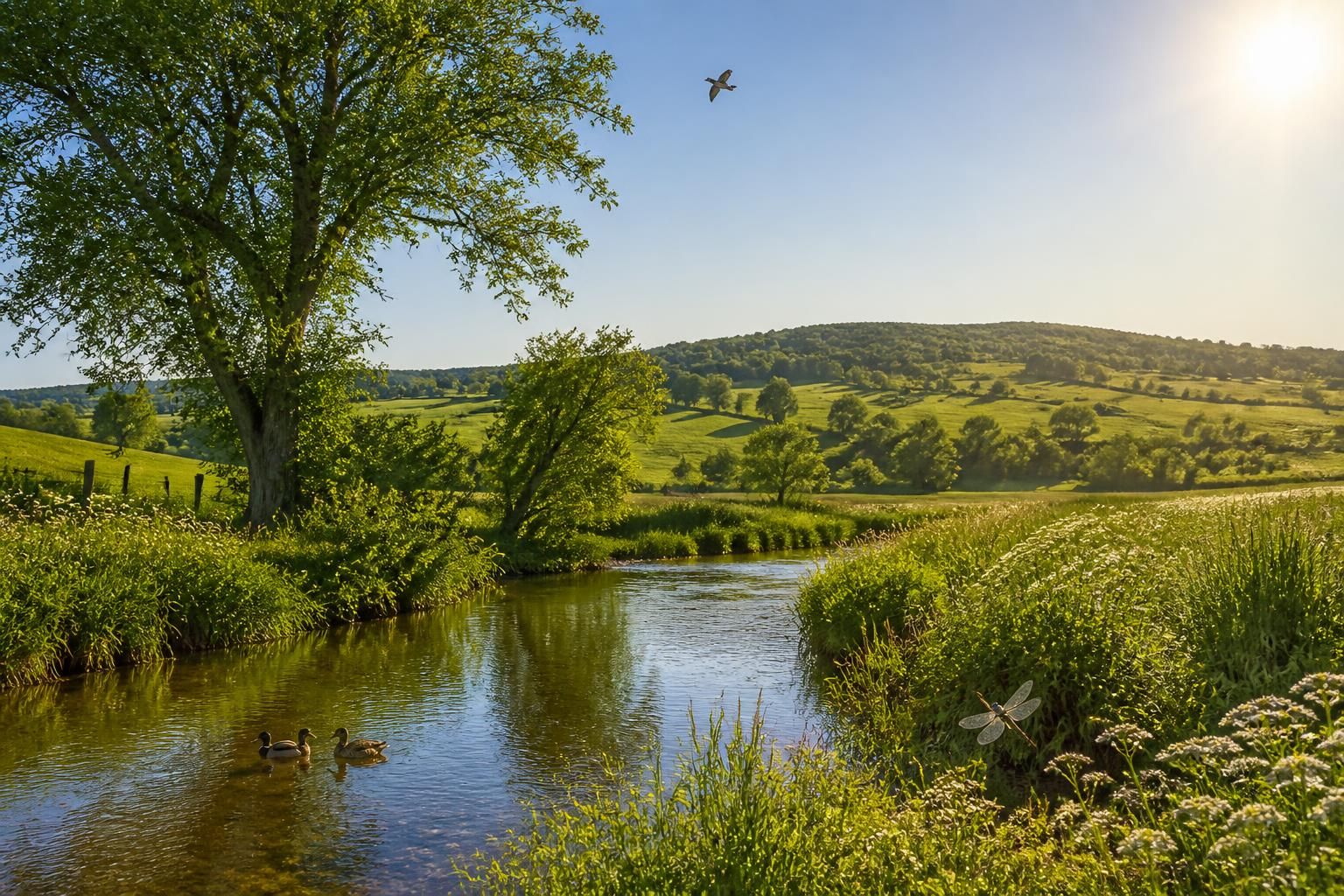 découvrez comment le mois de mai a été exceptionnellement chaud en saône-et-loire, tout en maintenant un bon niveau d'alimentation des nappes phréatiques.