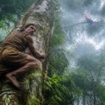 un habitant de taînou, inquiet, grimpe l'arbre le plus haut pour retrouver son perroquet échappé. découvrez cette histoire touchante de courage et d'espoir.