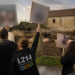l214 mène une action percutante à villiers-en-bière pour défendre le bien-être animal et sensibiliser le public aux conditions de vie des animaux.