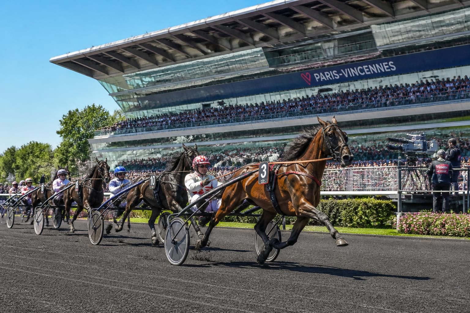 suivez le prix sibylla à paris-vincennes le 09/06/2026 : découvrez les partants, analyses expertes et résultats en vidéos de la course 2 sur equidia.