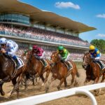 suivez le quinté+ du 09/06/2026 à compiègne - prix benjamin boutin. découvrez les partants, pronostics et résultats en vidéo de la course 8 sur equidia pour parier en toute confiance.