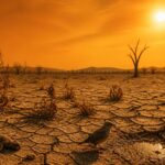 serge zaka alerte sur les conséquences dramatiques de la canicule actuelle, mettant en lumière les impacts dévastateurs sur la faune et la flore.