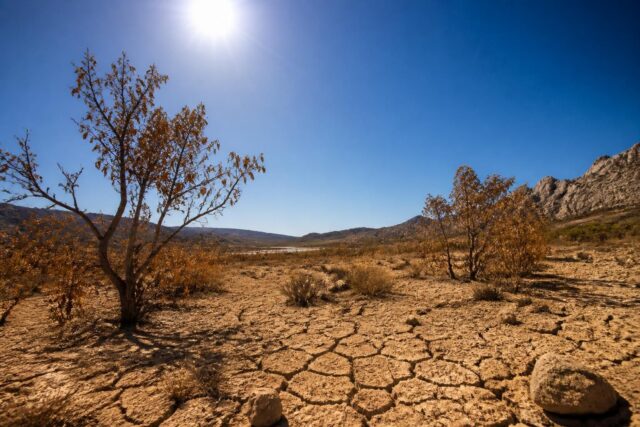 Canicule-extreme-des-temperatures-atteignant-42°C-en-Mediterranee-alerte-secheresse-en-Languedoc-640x427 Procès Elisa Pilarski : morsures, traces de sang et ADN au cœur des révélations vétérinaires sur l'attaque fatale
