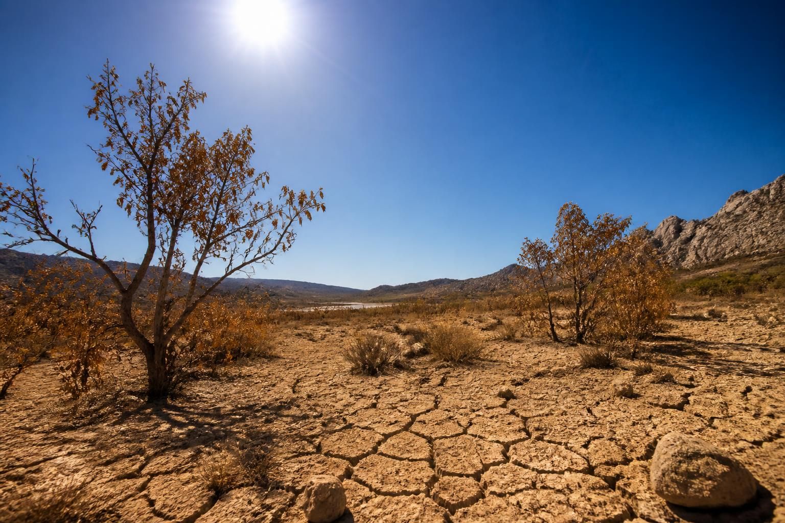 canicule extrême en méditerranée avec des températures atteignant 42°c. alerte sécheresse lancée en languedoc, impactant la région et nécessitant vigilance et mesures adaptées.