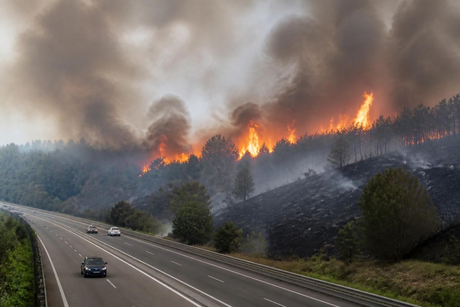 six hectares partis en fumée lors d'un incendie à nervieux, entraînant une interruption partielle de la circulation sur l'autoroute a89, désormais partiellement rétablie.